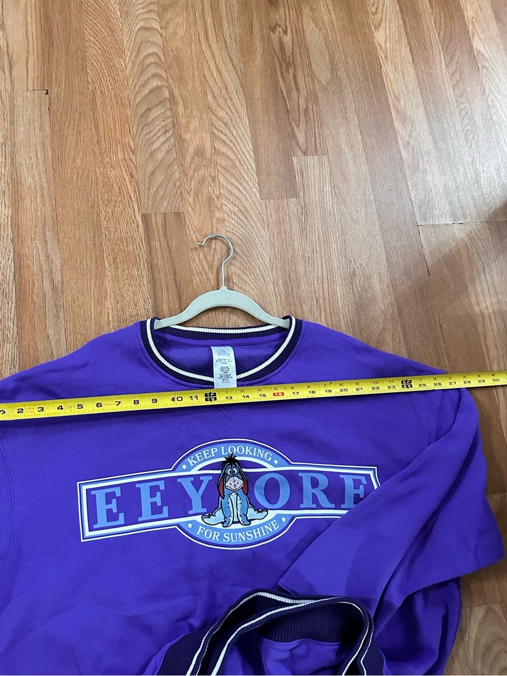 Disney Purple Eeyore Sweatshirt with Blue and White Accents - Picture 10 of 10